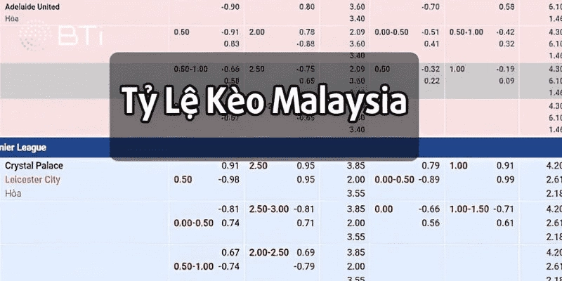 Chọn thời điểm cược thích hợp